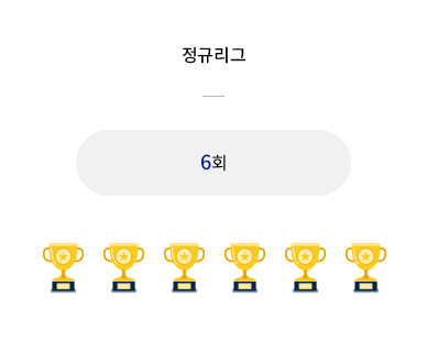 정규리그