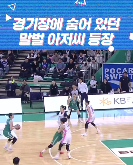 경기장에 숨어 있던 말벌 아저씨 등장