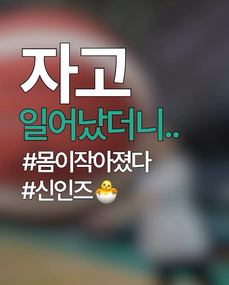 자고 일어났더니 신인즈의 몸이 작아졌다..? (만우절을 맞아...)